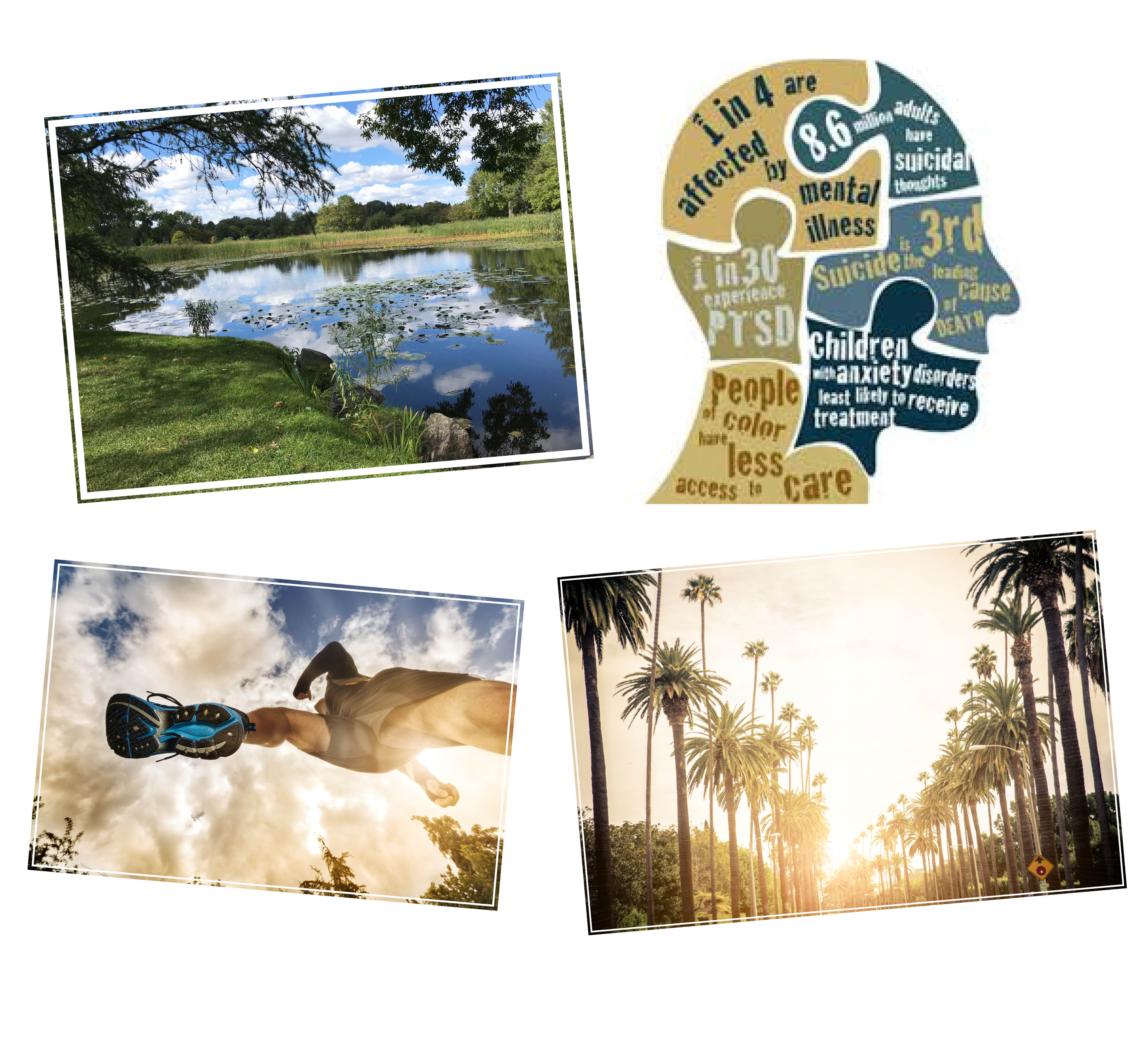 4 Beautiful Pictures of Green Landscapes, Mental Health Diagrams, and Los Angeles Palm Trees.